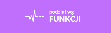 Podział wg funkcji